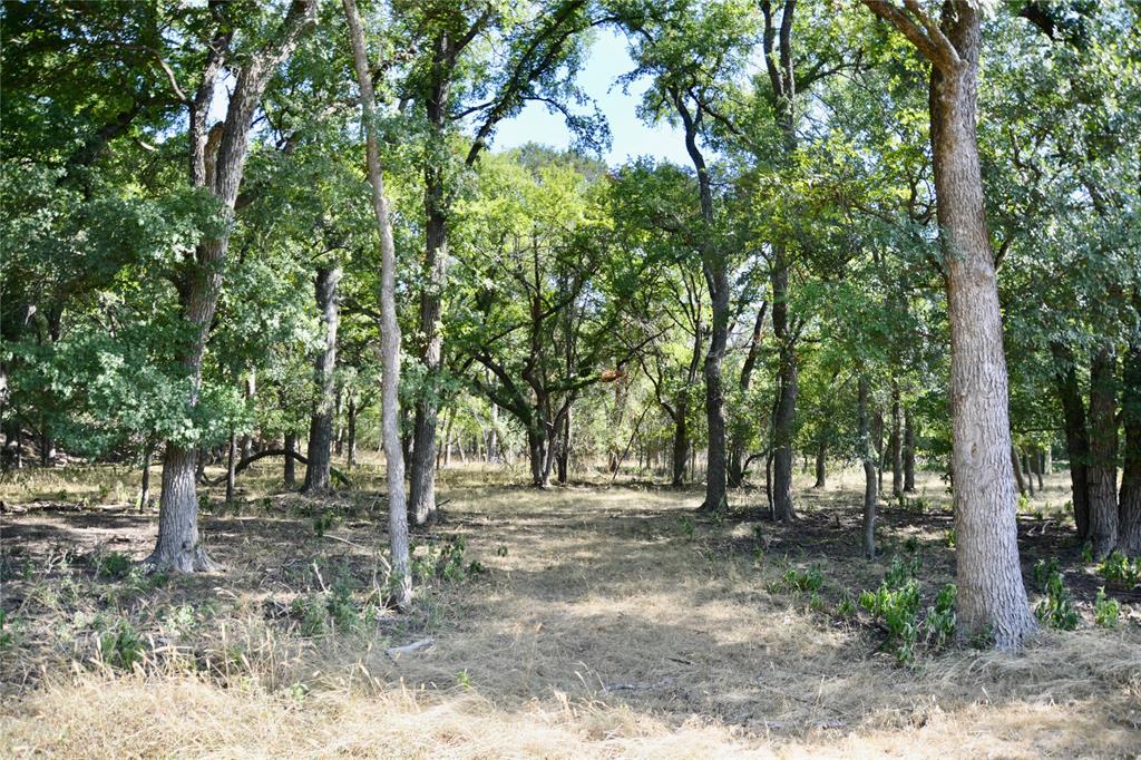 3400 Kempner Tx 76539 Kempner, TX 76539 - Photo 17 of 34 a view of outdoor space with lots of trees
