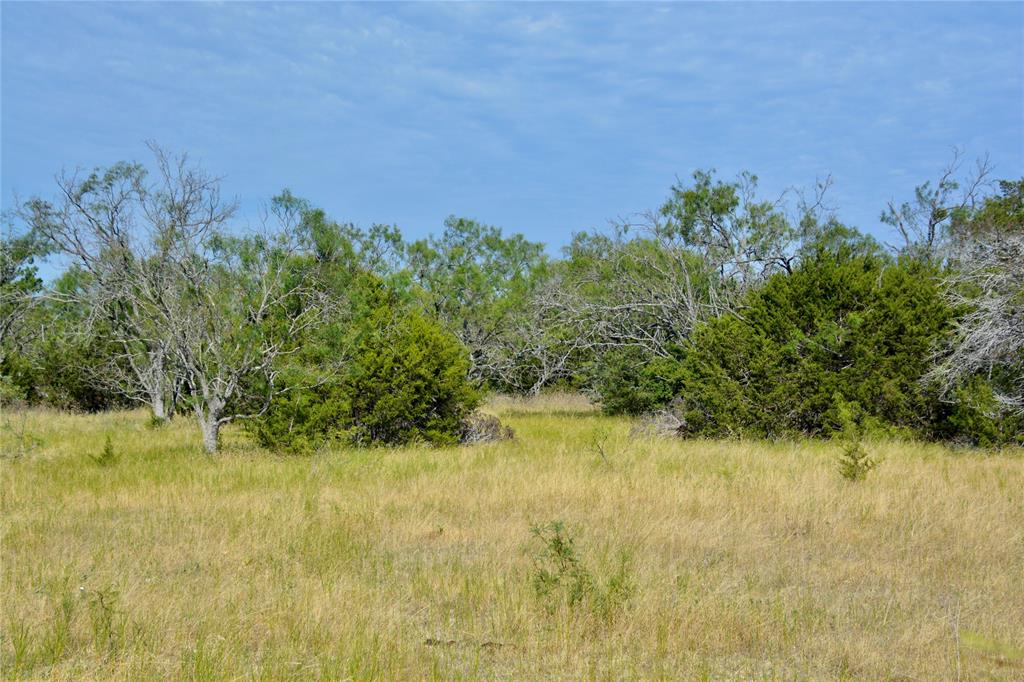 3400 Kempner Tx 76539 Kempner, TX 76539 - Photo 21 of 34 a view of a garden