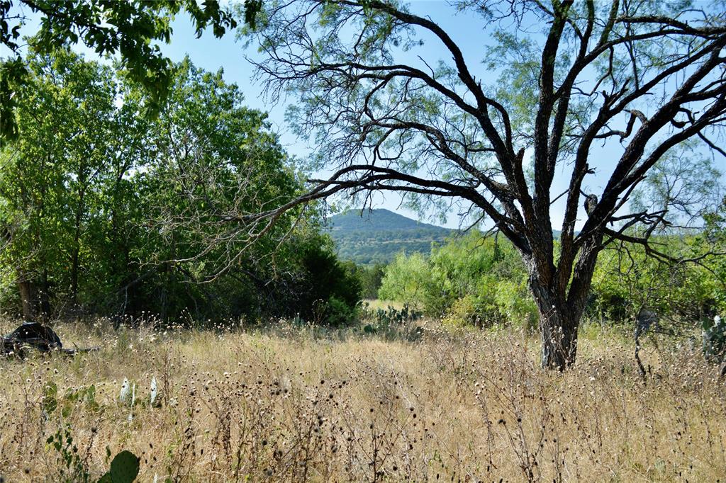3400 Kempner Tx 76539 Kempner, TX 76539 - Photo 24 of 34 a backyard of a house with lots of green space