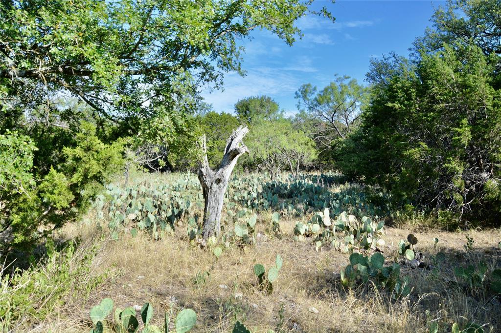 3400 Kempner Tx 76539 Kempner, TX 76539 - Photo 25 of 34 a view of a tree in a garden