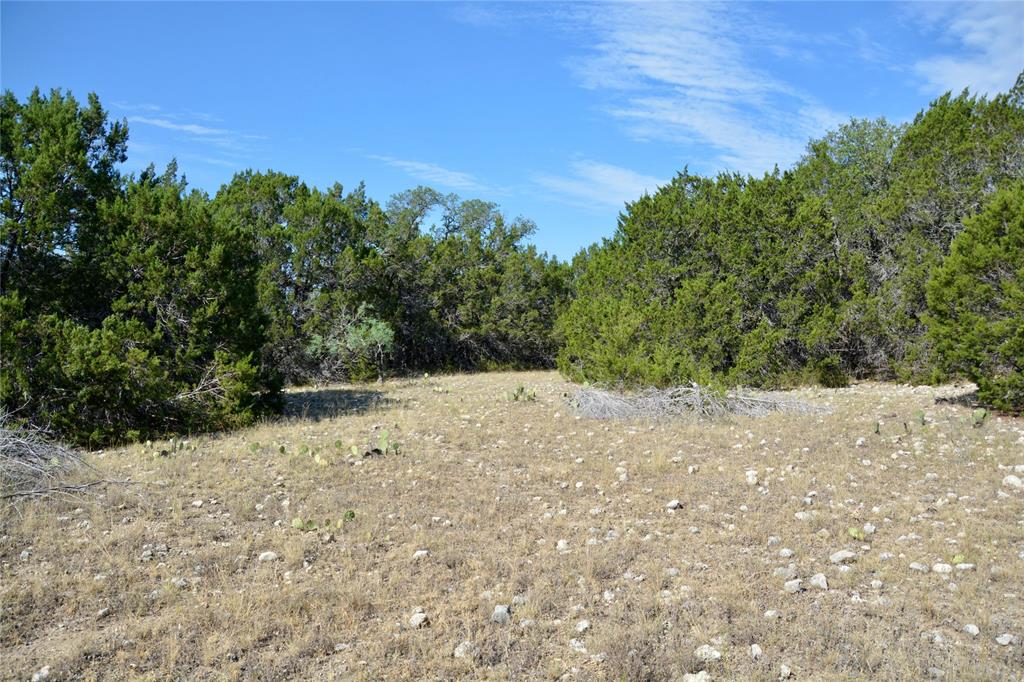 3400 Kempner Tx 76539 Kempner, TX 76539 - Photo 27 of 34 a view of a yard with a tree