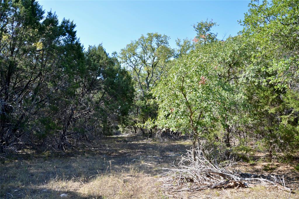 3400 Kempner Tx 76539 Kempner, TX 76539 - Photo 28 of 34 a view of a yard with plants and a tree