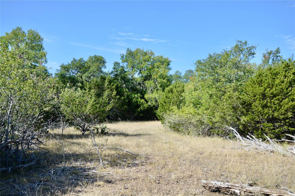3400 Kempner Tx 76539 Kempner, TX 76539 - Photo 30 of 34 a view of a yard with plants and a trees