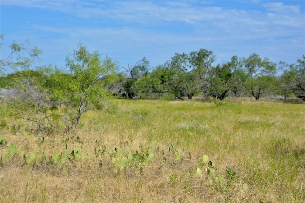 3400 Kempner Tx 76539 Kempner, TX 76539 - Photo 4 of 34 a view of a yard with a tree