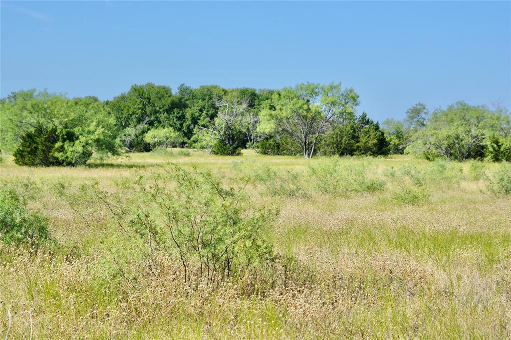 3400 Kempner Tx 76539 Kempner, TX 76539 - Photo 9 of 34 a view of a yard with an trees
