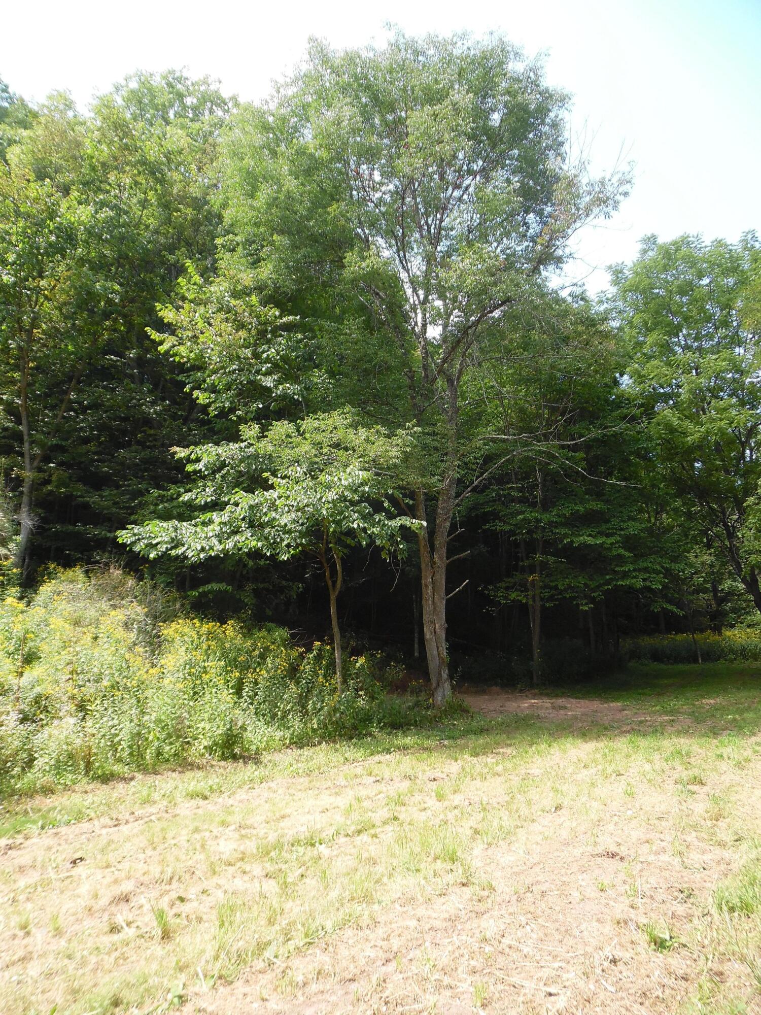 6234 Edray Road Cass, WV 24927 - Photo 32 of 66 Gallery Image 32
