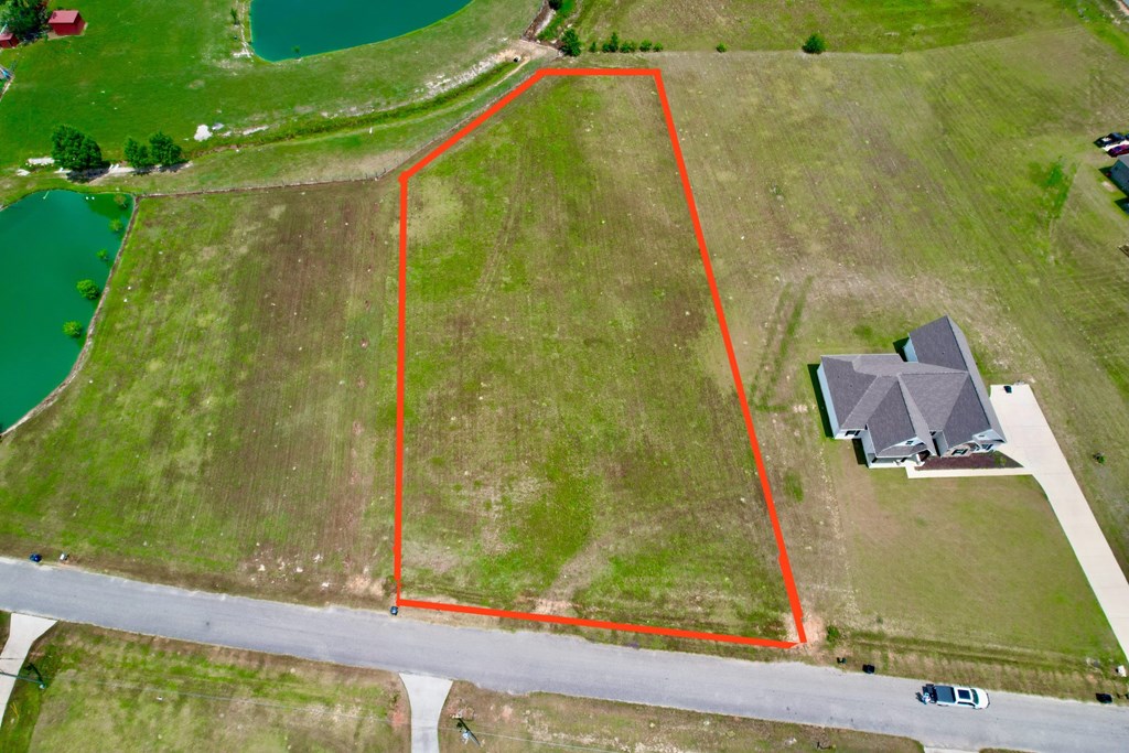 0 Sage Road Ashford, AL 36312 - Photo 2 of 3