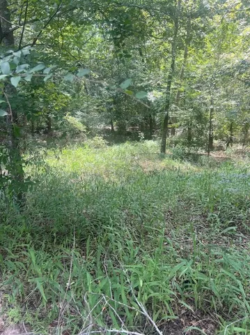 $37,000 | 761 Addies Alley, Jesup, GA 31545