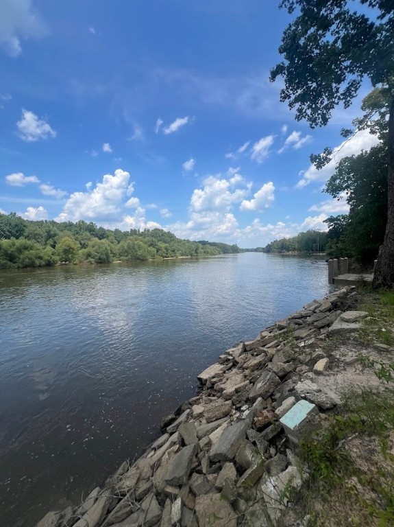 761 Addies Alley Jesup, GA 31545 - Photo 5 of 8