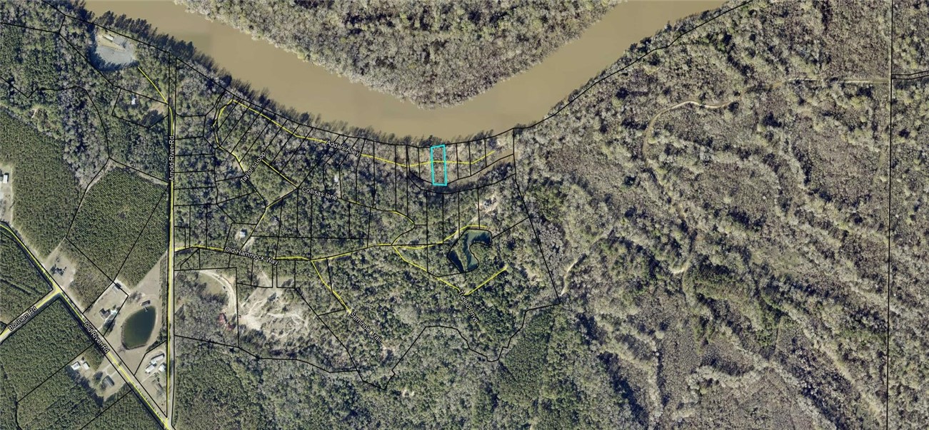 761 Addies Alley Jesup, GA 31545 - Photo 8 of 8