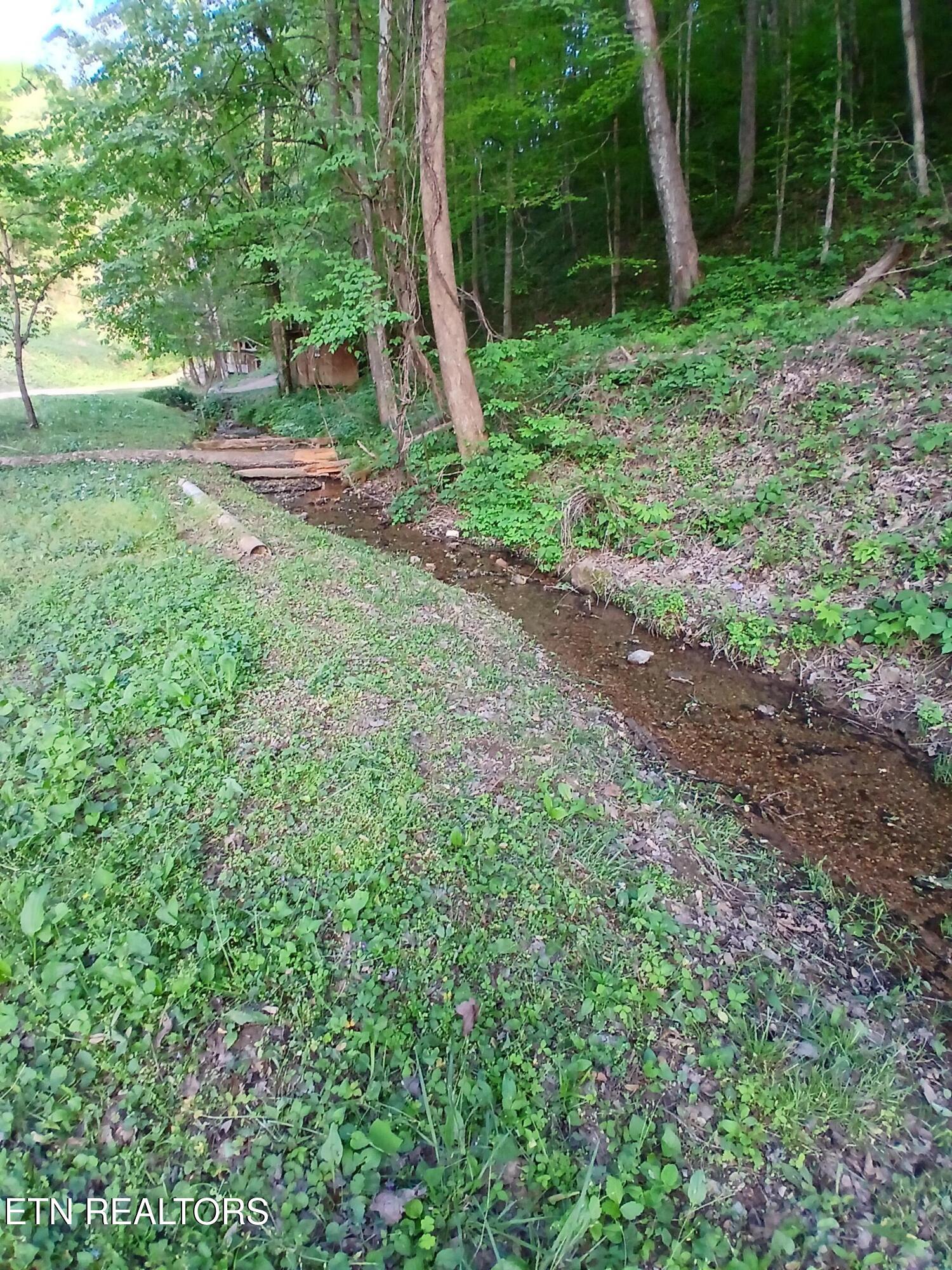 469 Brownlo Road Sneedville, TN 37869 - Photo 37 of 58 20260427_192608