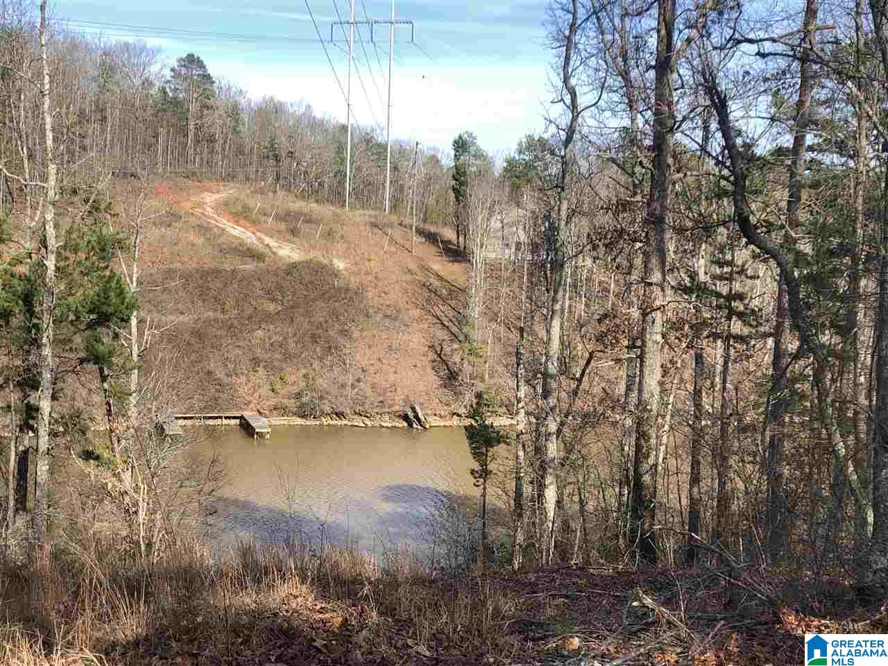 Lot 4 Point View, Unit LOT 4 Wedowee, AL 36278 - Photo 3 of 8