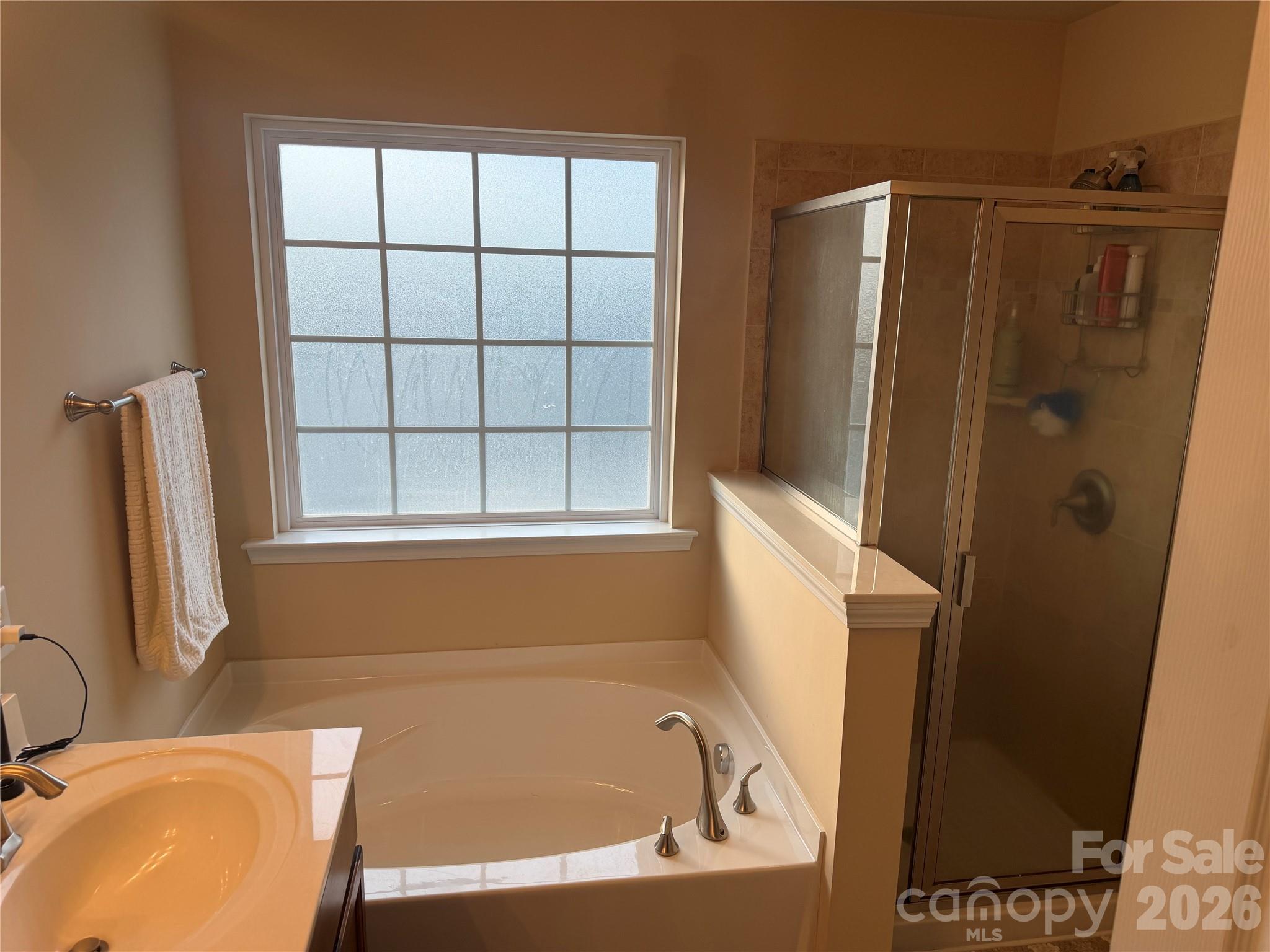 3147 Coventry Commons Drive Charlotte, NC 28227 - Photo 19 of 21