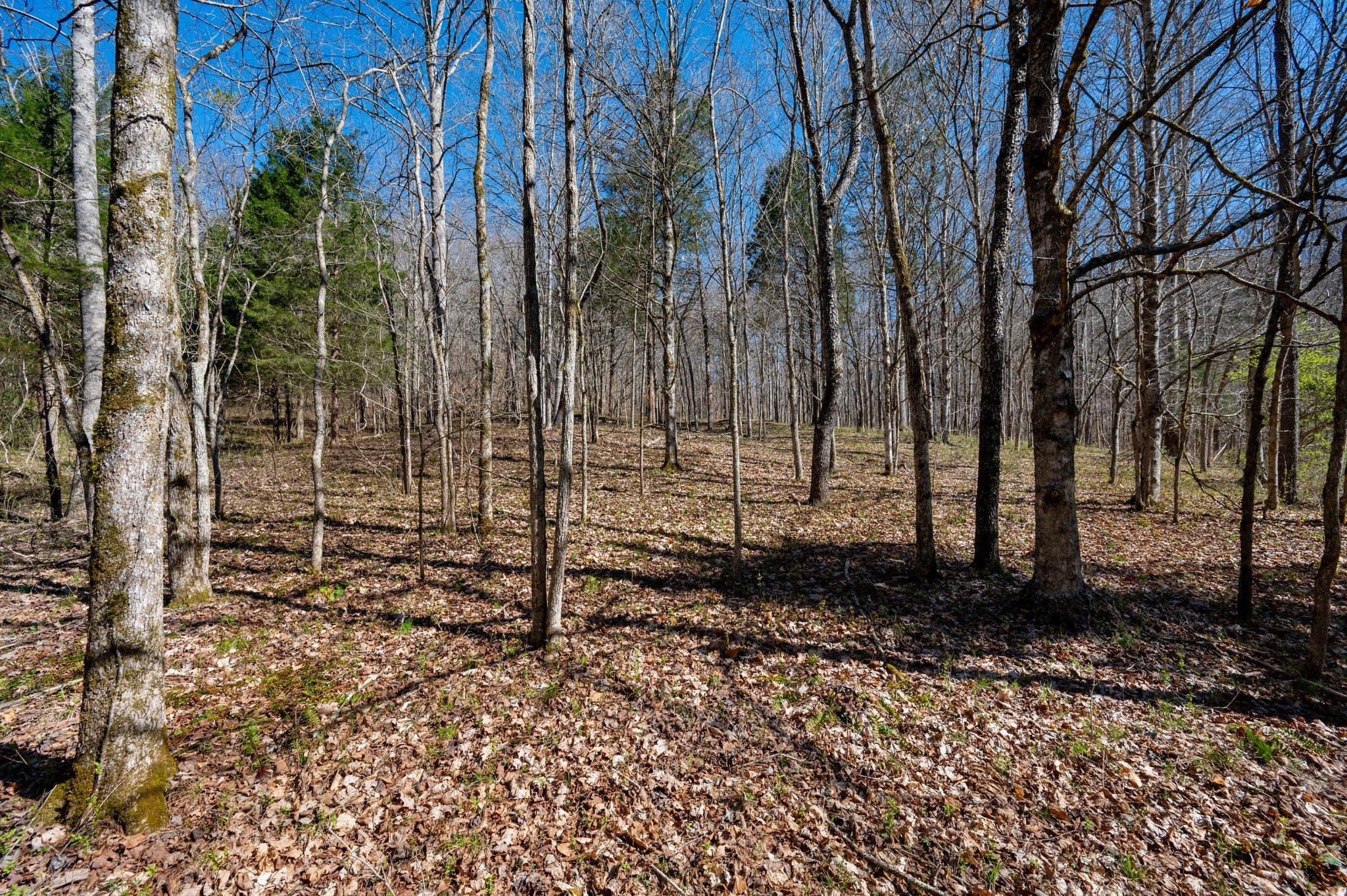 0 Bedford Creek Road Franklin, TN 37064 - Photo 19 of 24