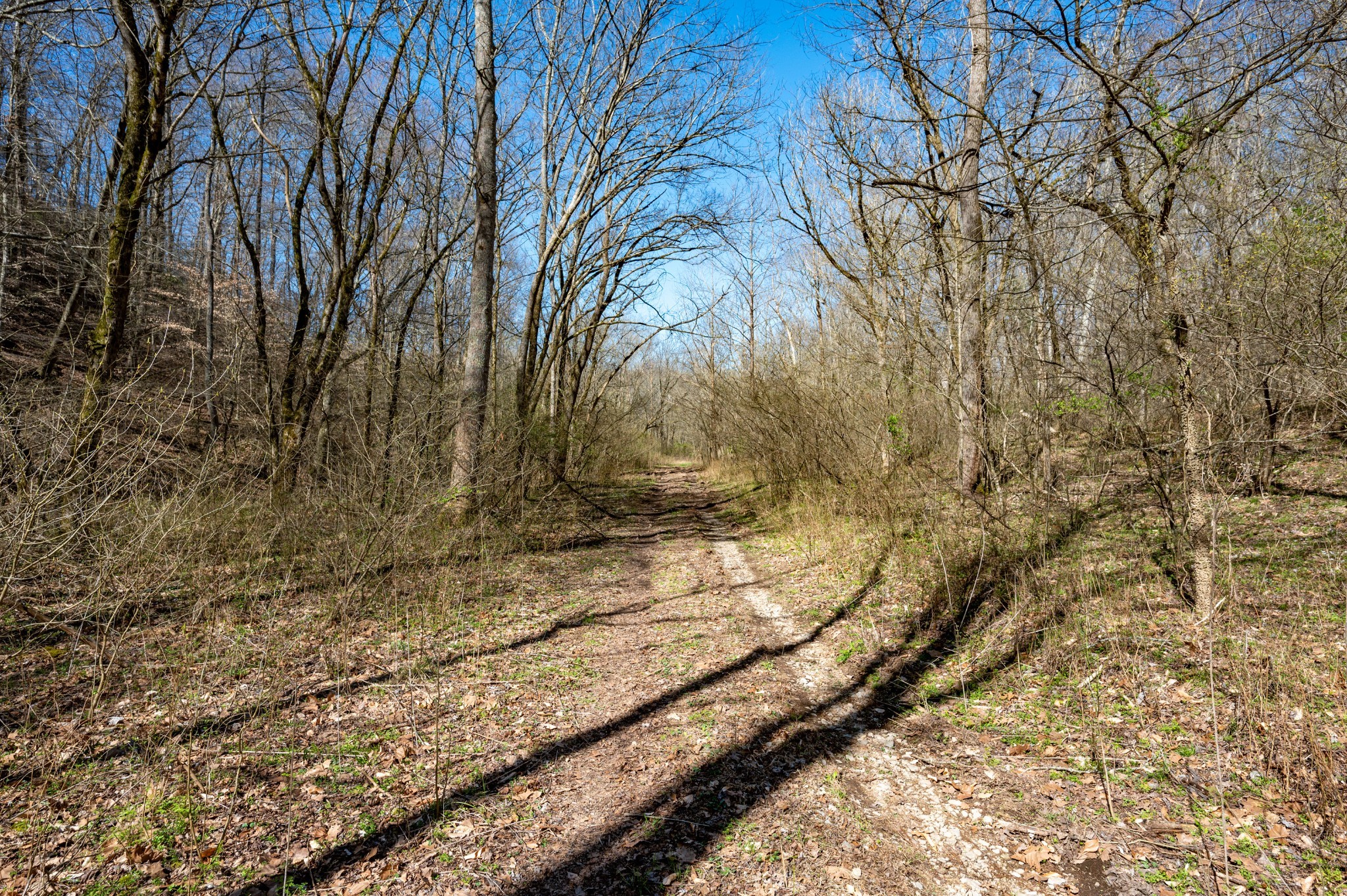 0 Bedford Creek Road Franklin, TN 37064 - Photo 20 of 24