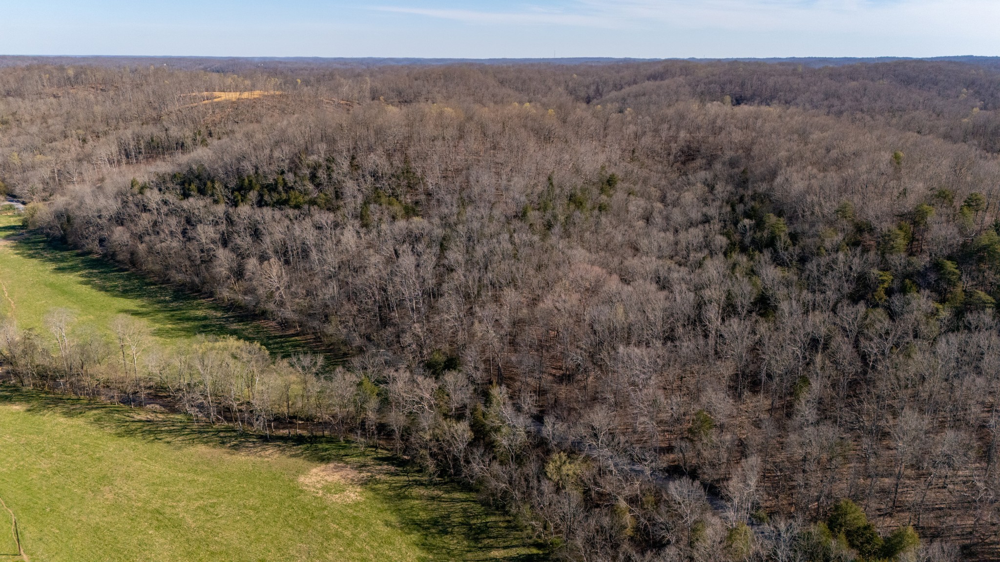 0 Bedford Creek Road Franklin, TN 37064 - Photo 2 of 24