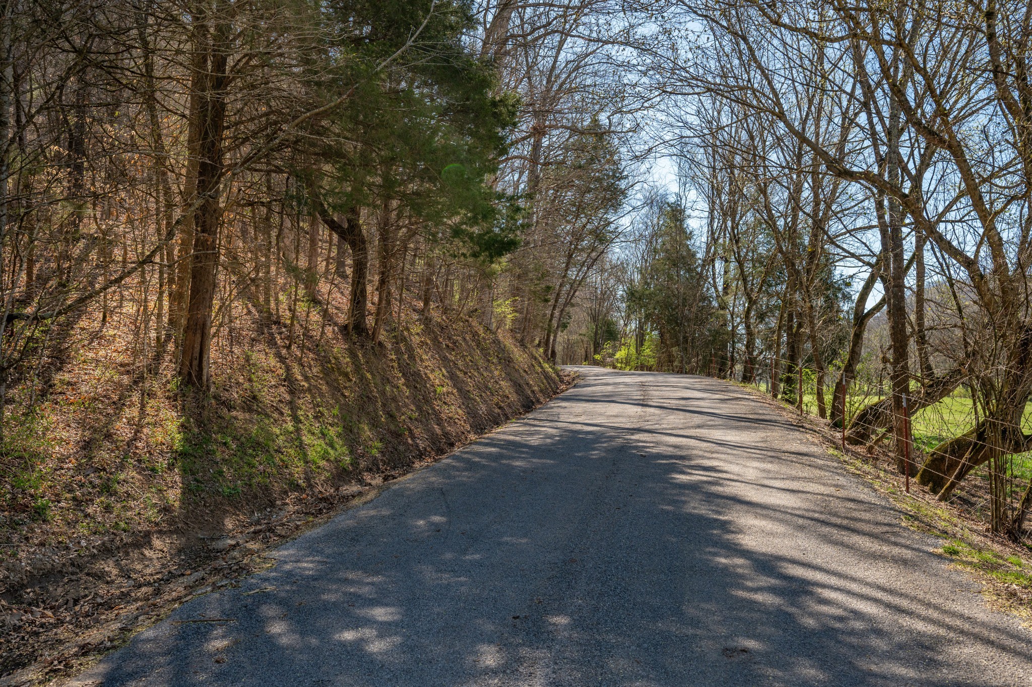 0 Bedford Creek Road Franklin, TN 37064 - Photo 21 of 24