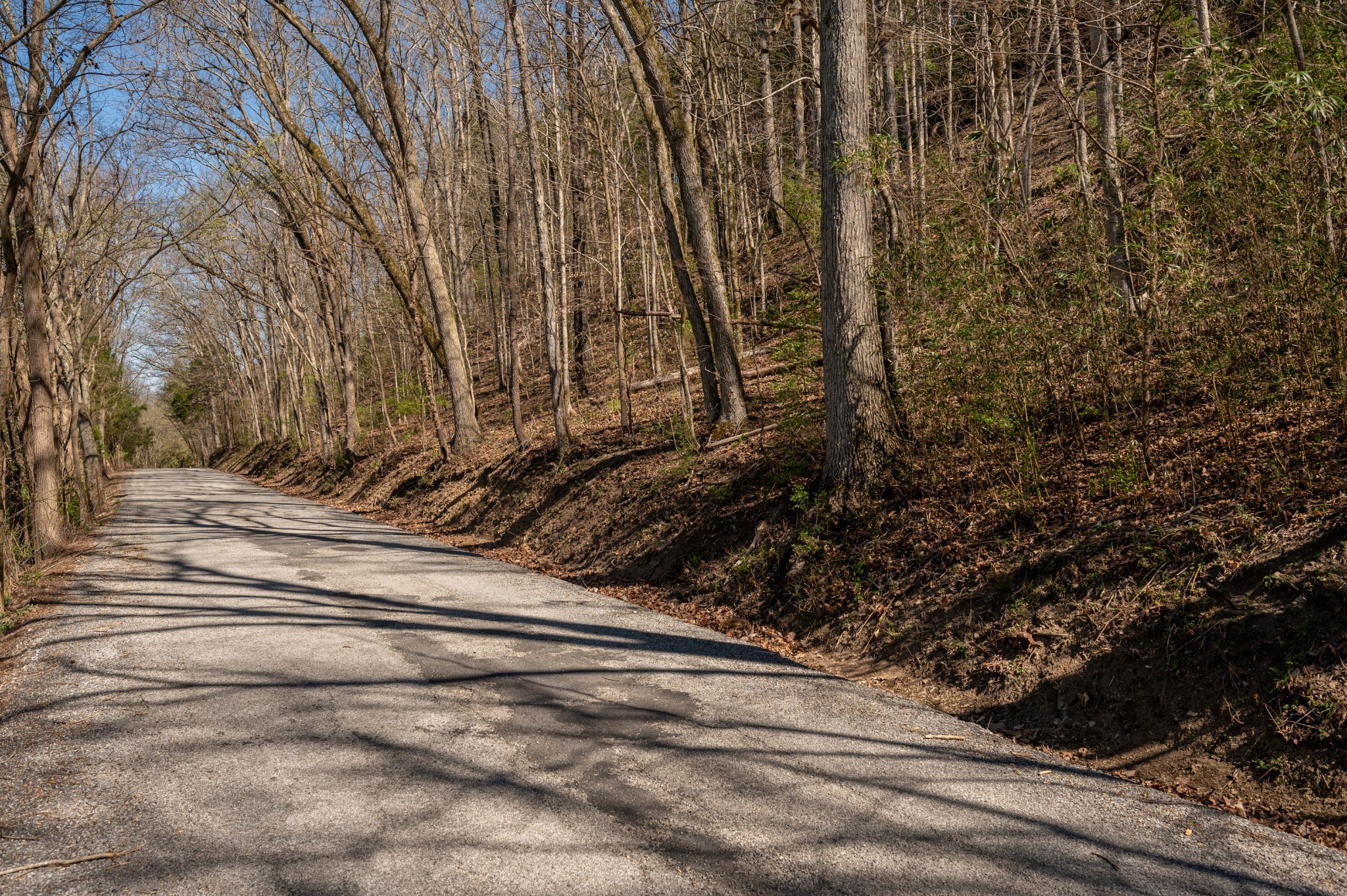 0 Bedford Creek Road Franklin, TN 37064 - Photo 23 of 24