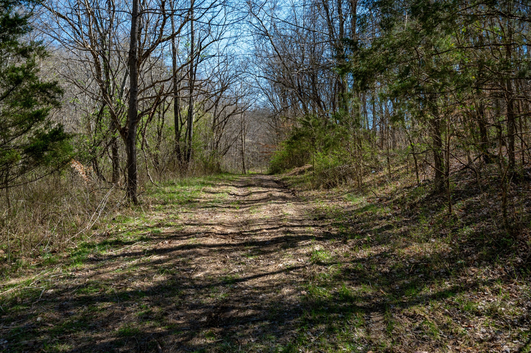 0 Bedford Creek Road Franklin, TN 37064 - Photo 3 of 24