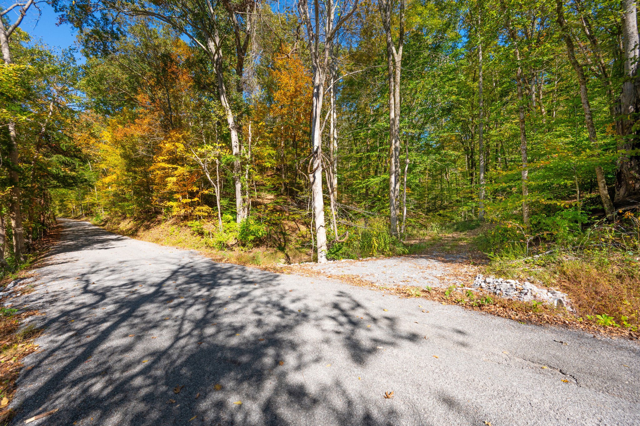 0 Bedford Creek Road Franklin, TN 37064 - Photo 5 of 24
