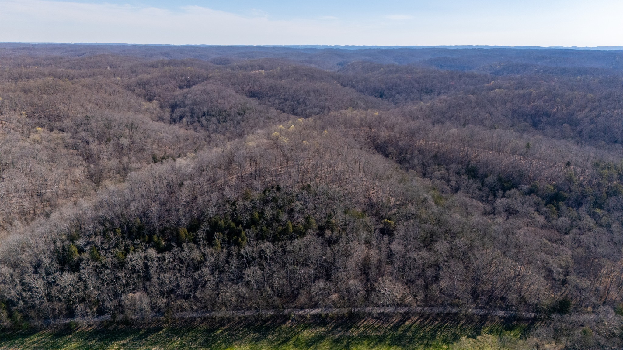 0 Bedford Creek Road Franklin, TN 37064 - Photo 8 of 24
