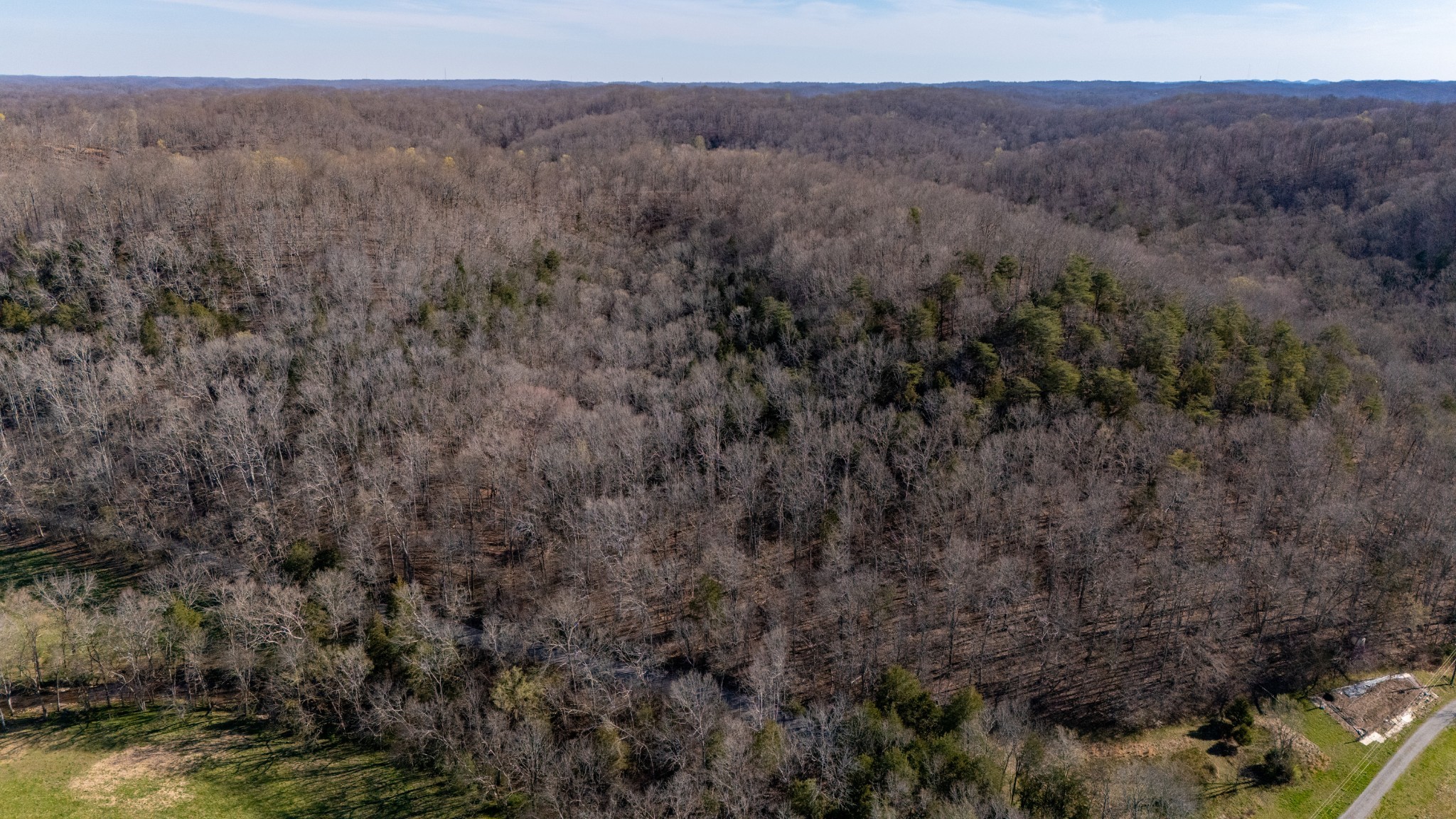 0 Bedford Creek Road Franklin, TN 37064 - Photo 10 of 24