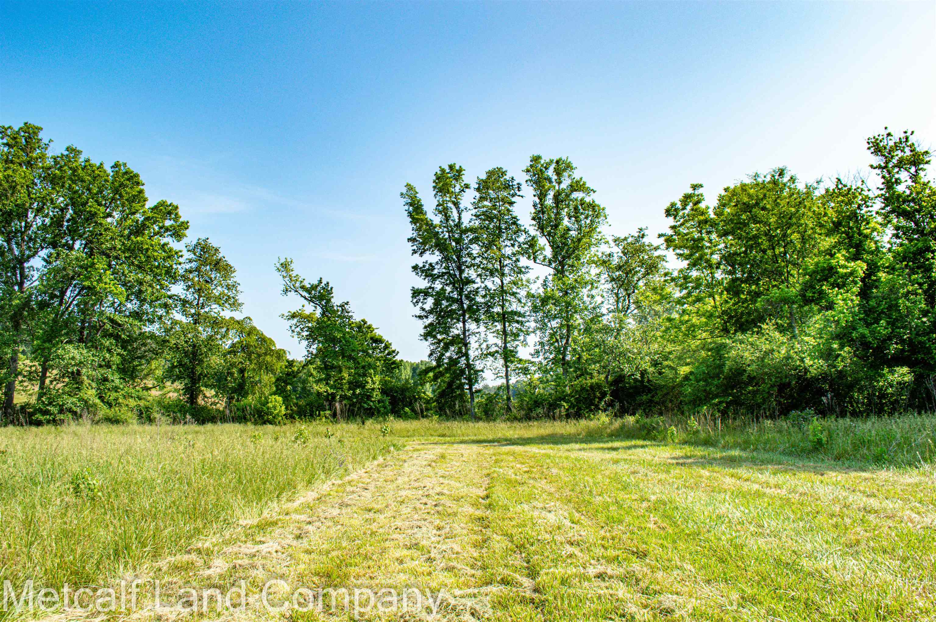 0 Old Burnett Road Inman, SC 29349 - Photo 11 of 12