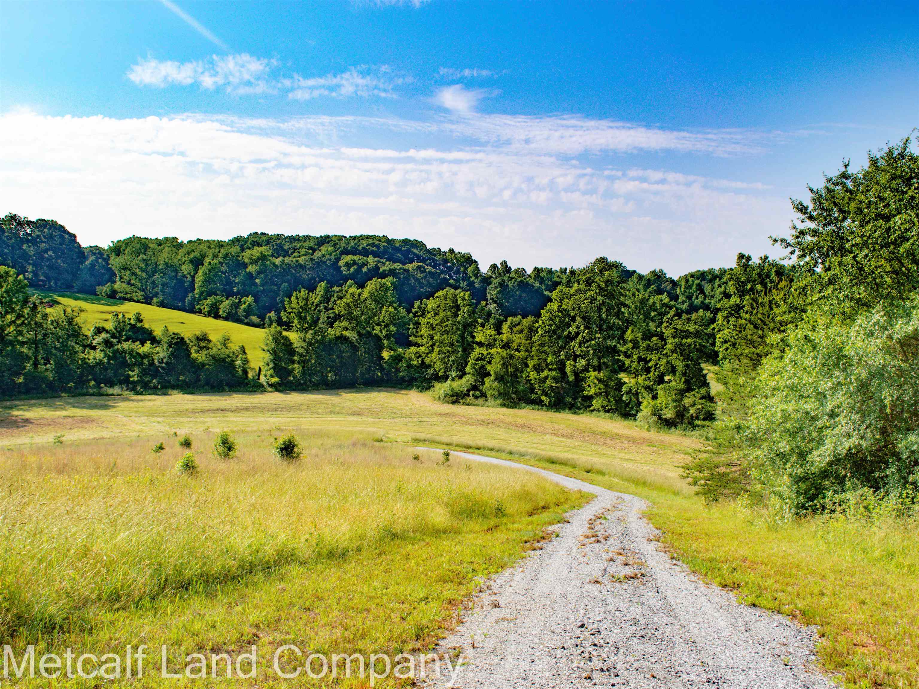 0 Old Burnett Road Inman, SC 29349 - Photo 10 of 12