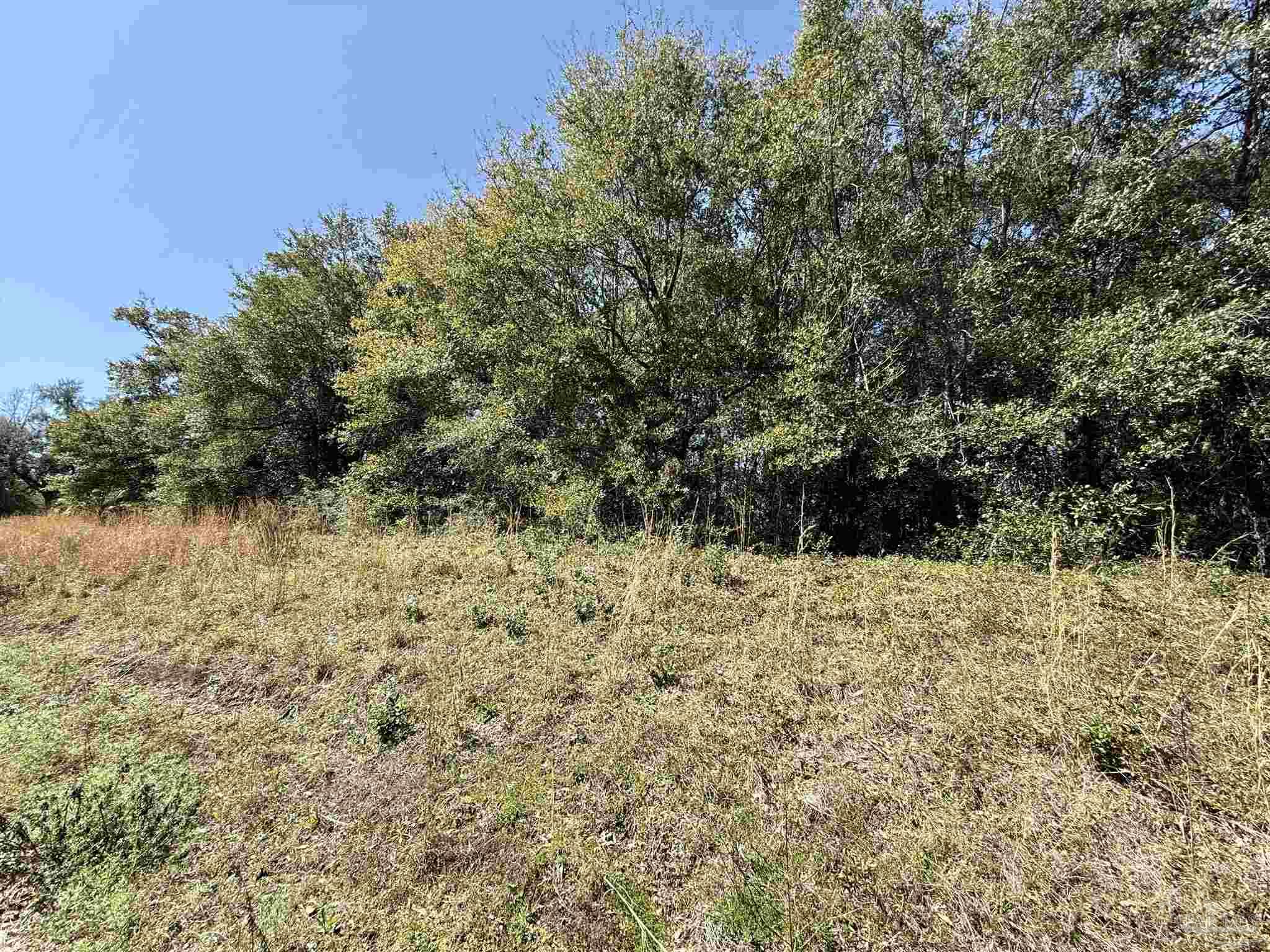 Lot 19 Dogwood Road Milton, FL 32570 - Photo 1 of 7 a view of a yard with trees