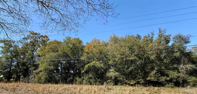 a view of a backyard of the house
