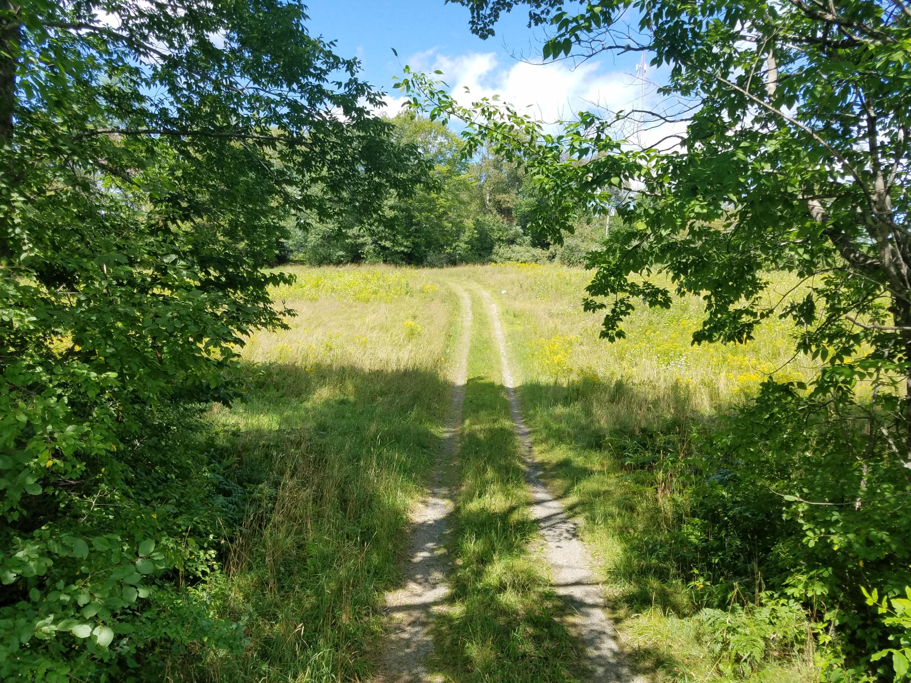 Lot 20 Holmes Road Dover-Foxcroft, ME 04426 - Photo 3 of 18 20190823_131317