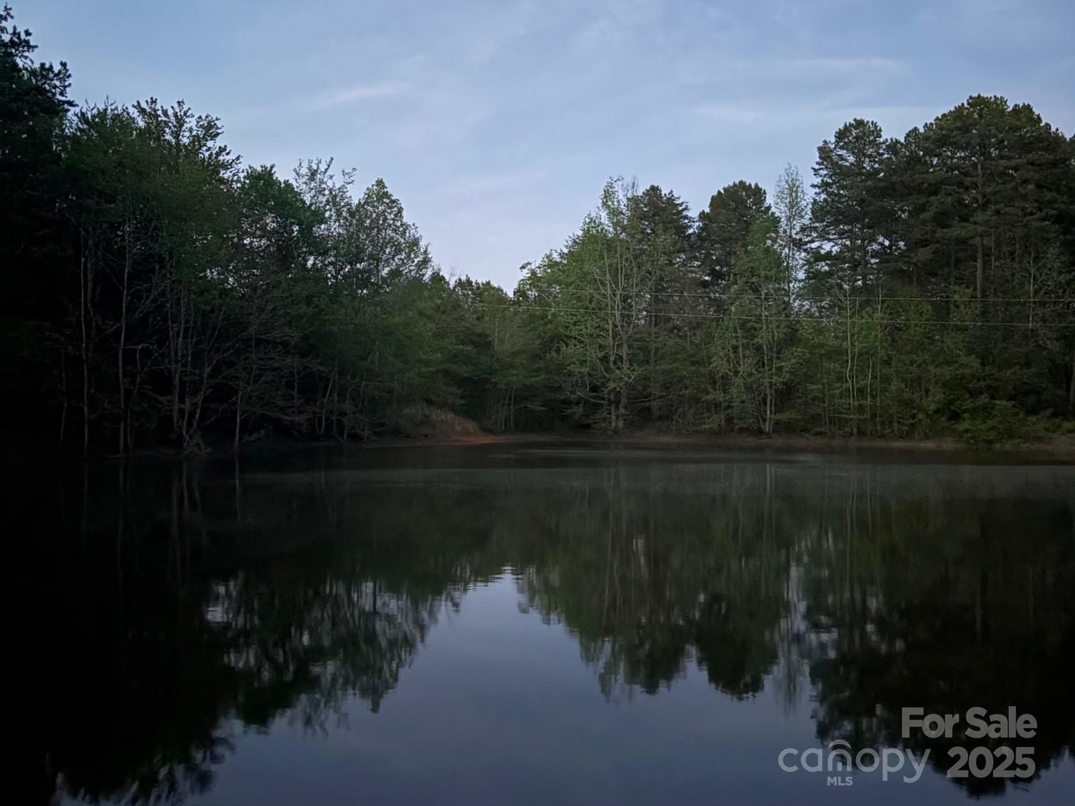 4417 King Wilkinson Road Lincolnton, NC 28092 - Photo 3 of 34 Gallery Image 3