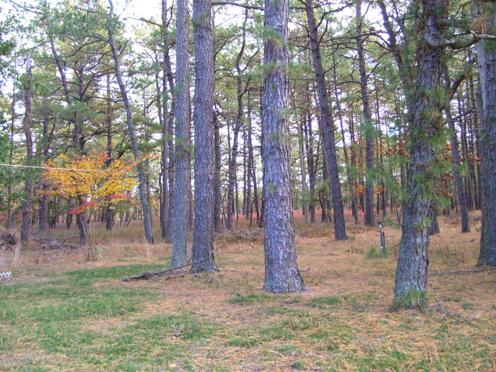109 Sunset Road Whiting, NJ 08759 - Photo 32 of 34 100_1041