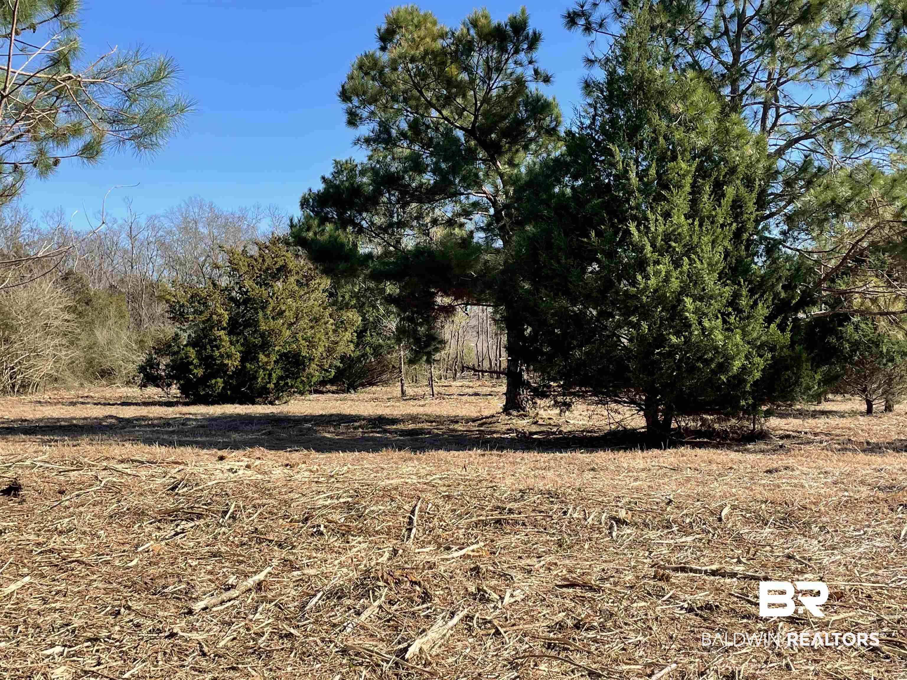 0 Makaira Drive Foley, AL 36535 - Photo 30 of 33