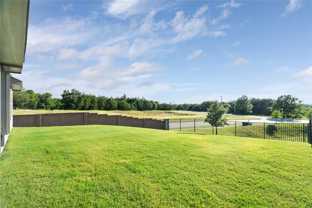 752 Ruellia Street Weatherford, TX 76086 - Photo 27 of 31