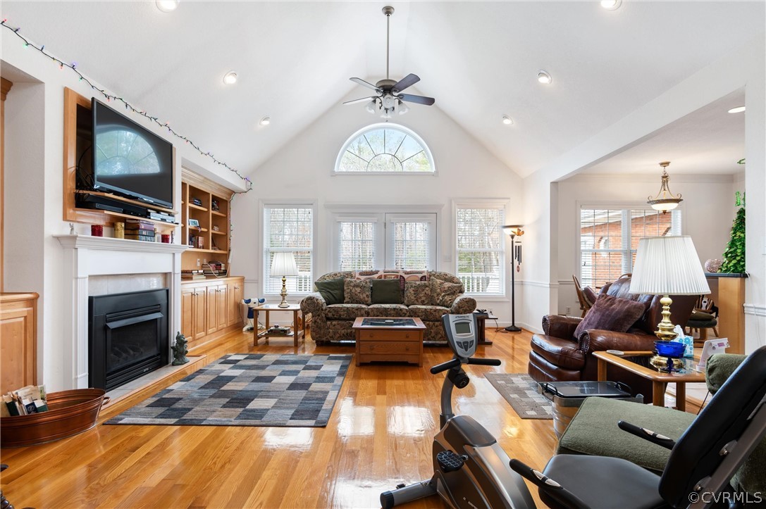 27161 Trinity Church Road Courtland, VA 23837 - Photo 11 of 47 Living room with built in bookcases and cathedral ceilings