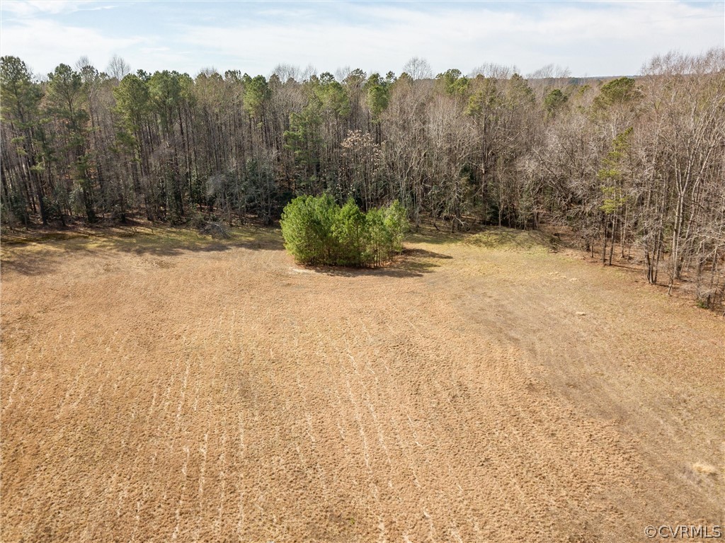 27161 Trinity Church Road Courtland, VA 23837 - Photo 43 of 47 Gallery Image 43