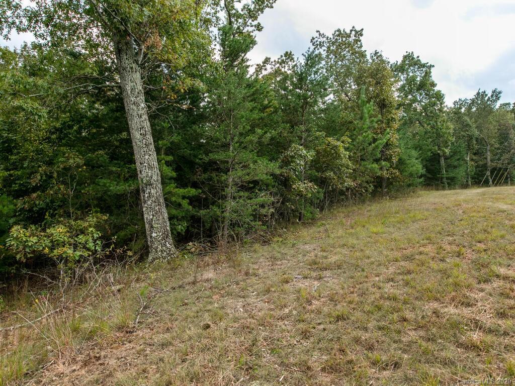 0 Peniel Road, Unit 4 Columbus, NC 28722 - Photo 10 of 13 Gallery Image 10