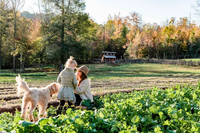 $299,999 | 635 Riverstead Drive, Marietta, SC 29661