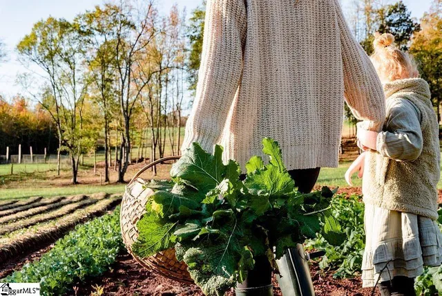 $299,999 | 635 Riverstead Drive, Marietta, SC 29661