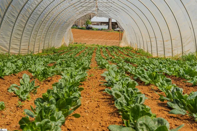 $299,999 | 635 Riverstead Drive, Marietta, SC 29661