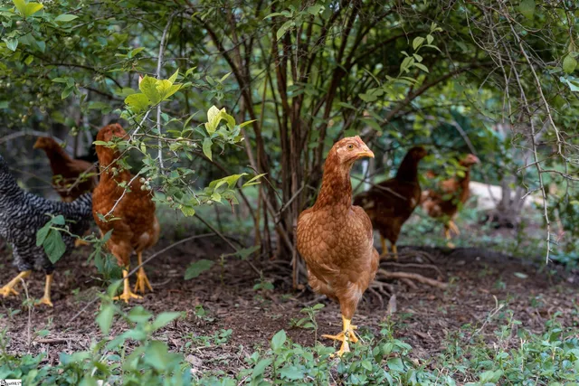 $299,999 | 635 Riverstead Drive, Marietta, SC 29661