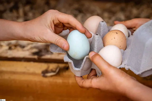 $299,999 | 635 Riverstead Drive, Marietta, SC 29661