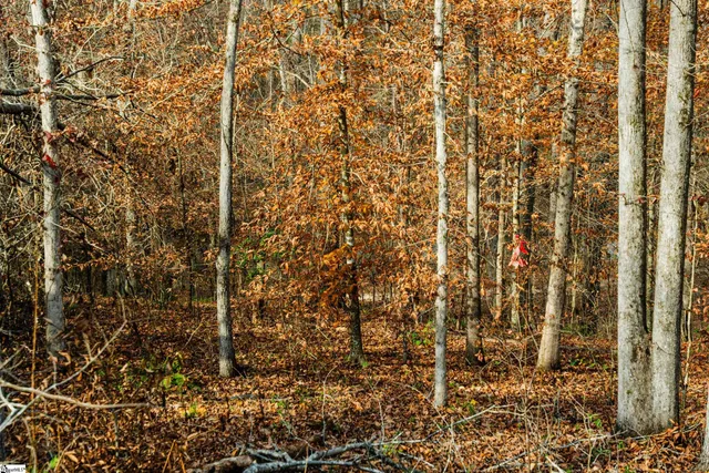 $299,999 | 635 Riverstead Drive, Marietta, SC 29661