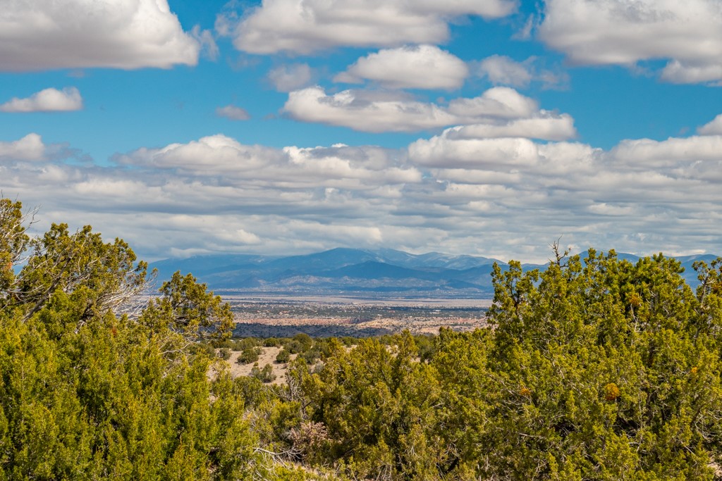 Tbd Hanuman Road Cerrillos, NM 87010 - Photo 8 of 33