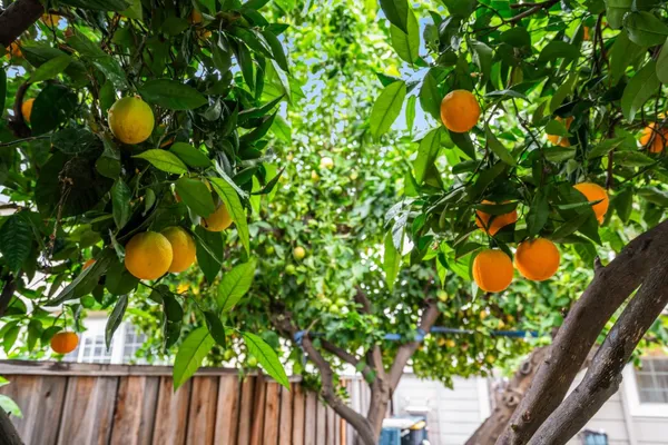 $1,198,000 | 2456 Kenoga Drive, San Jose, CA 95121