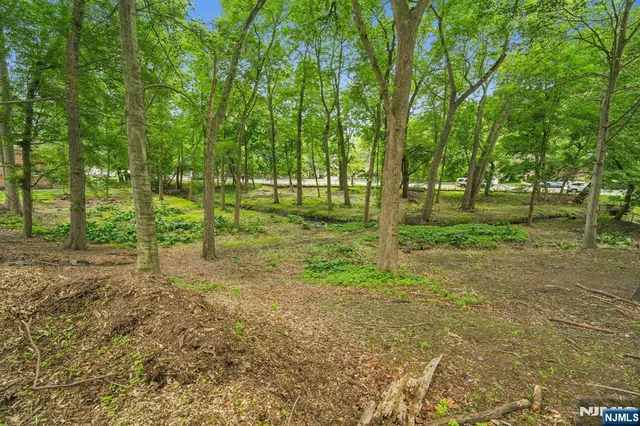 a view of a park with trees in the background
