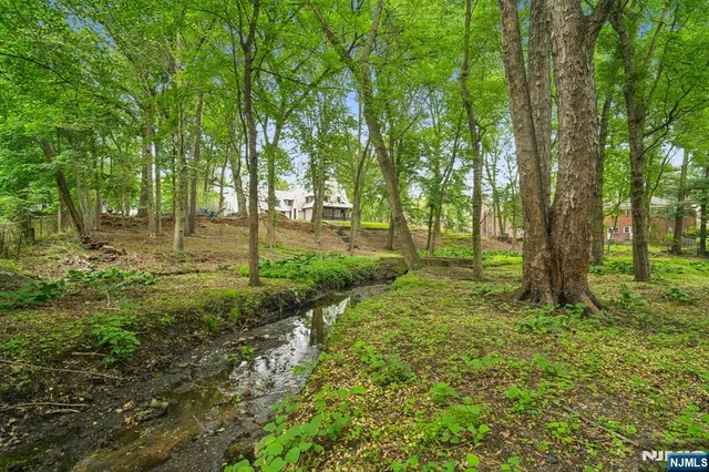 a big yard with lots of green space and trees