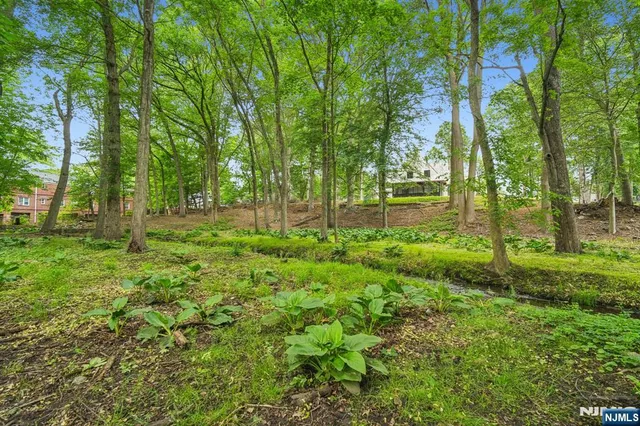 a large green field with lots of trees