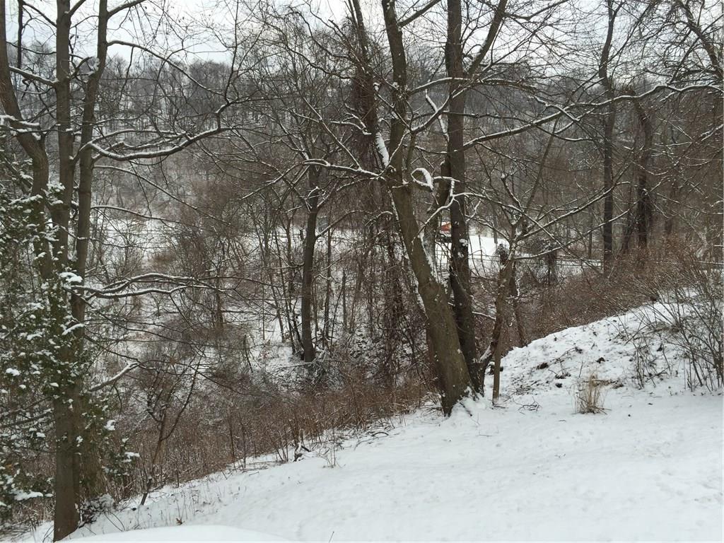 513 Walnut Road Pittsburgh, PA 15202 - Photo 19 of 19 Wooded, private setting.